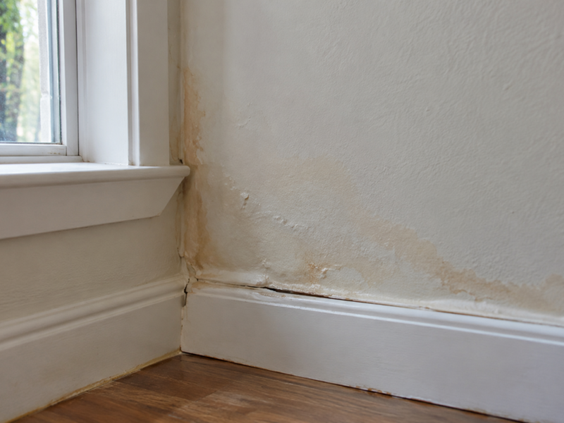 How to Tell If Water Has Reached Behind a Wall